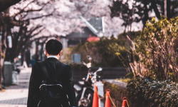 Featured image of post 择一城而居Ⅱ