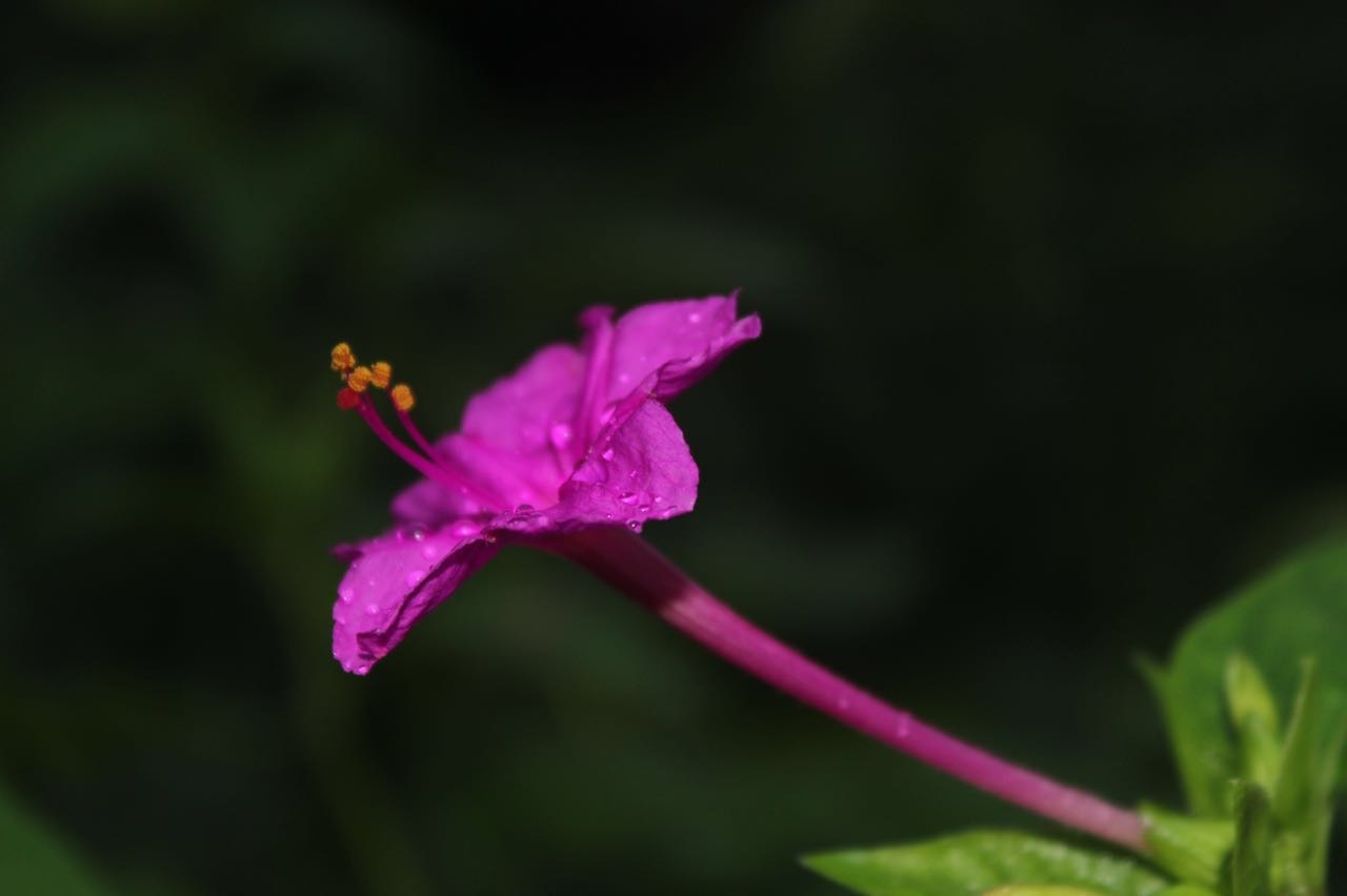 Featured image of post 写在三八节之际