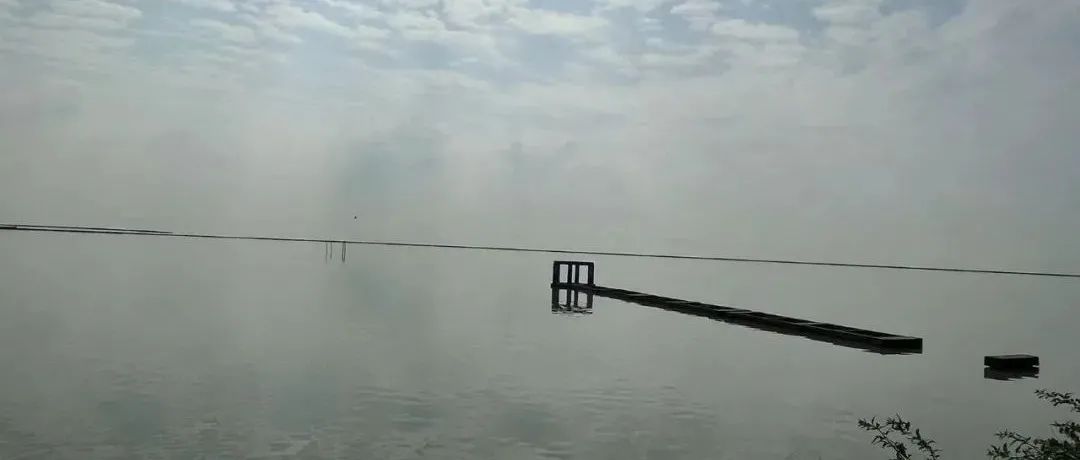 Featured image of post 所谓的线上生活，以及那个神一般存在的豆瓣