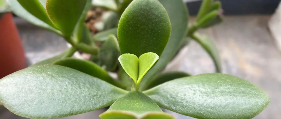 Featured image of post 快来这个行业搞钱