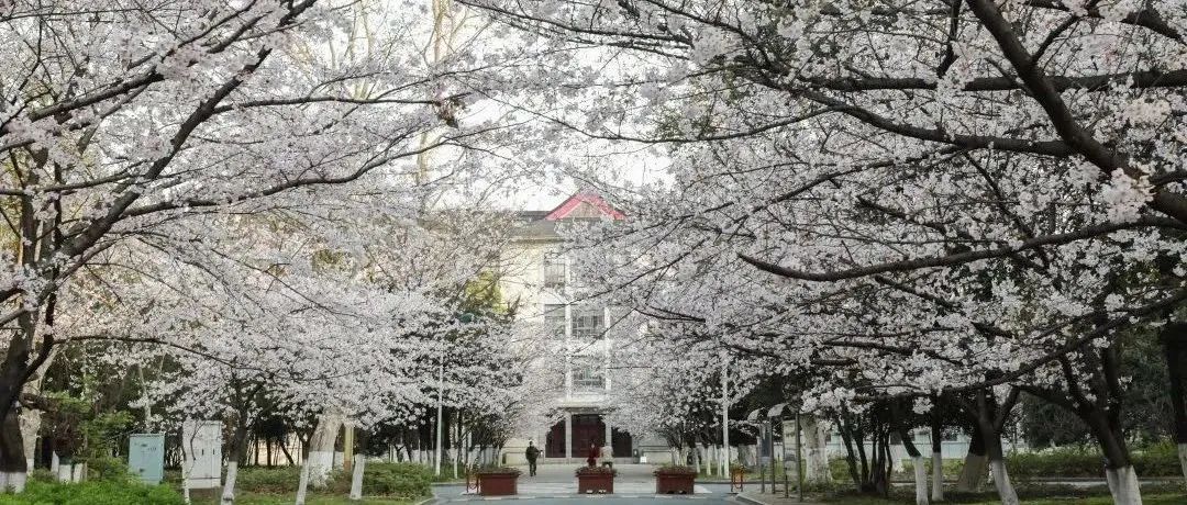 Featured image of post 春雨过后，便是真正的春天