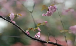 Featured image of post 个人知识库上线