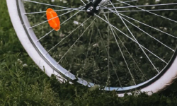 Featured image of post 现在上车晚不晚？