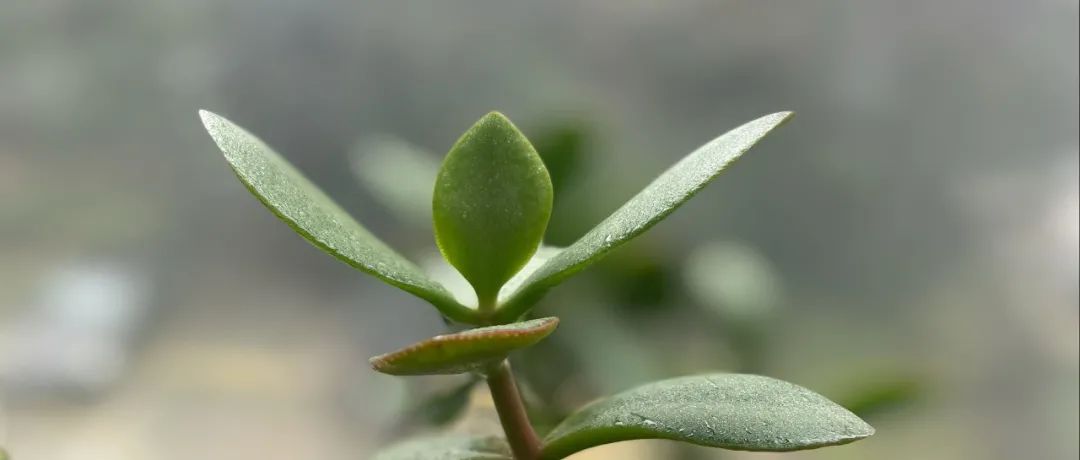 Featured image of post 到抄底的时候了吗？