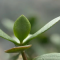 到抄底的时候了吗？