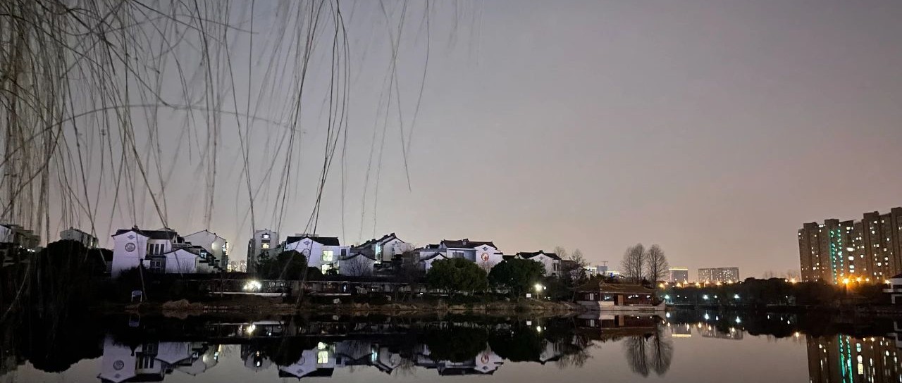 Featured image of post 恍如一夜