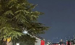Featured image of post 公众号变成小绿书？