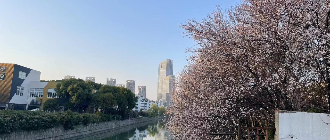 Featured image of post 大会结束，开整