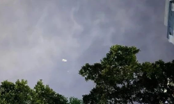 Featured image of post 公众号恢复日更的可能性