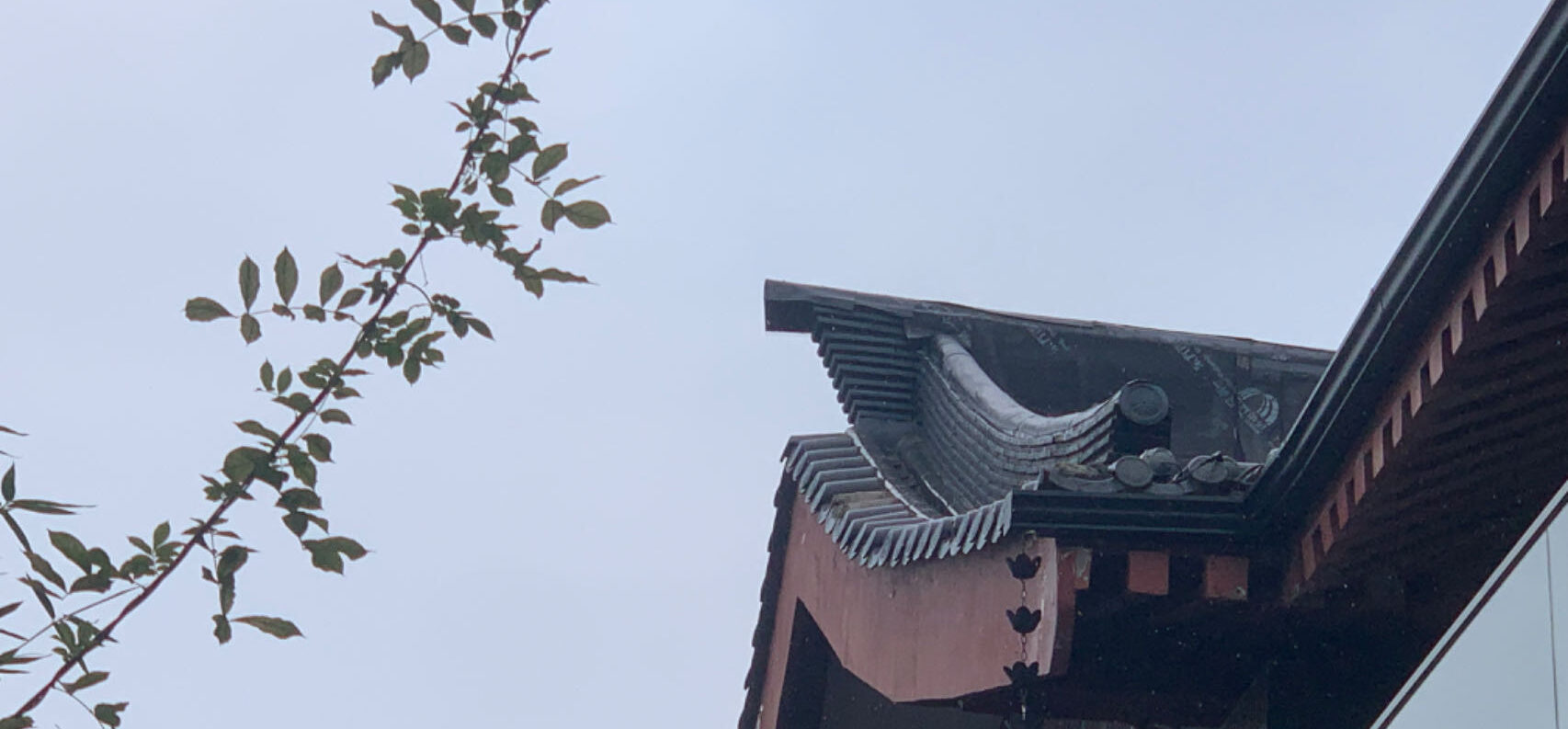 Featured image of post 西行
