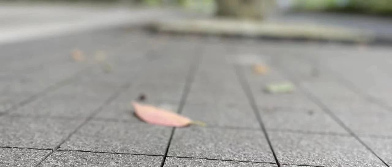 Featured image of post “有用论”陷阱
