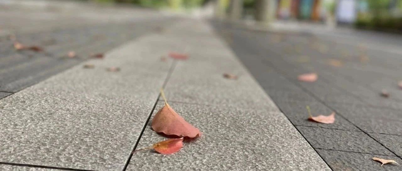 Featured image of post 工程思维的重要性