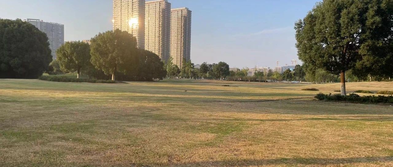 Featured image of post 老板为什么喜欢用微信办公