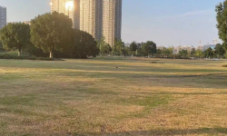 Featured image of post 老板为什么喜欢用微信办公