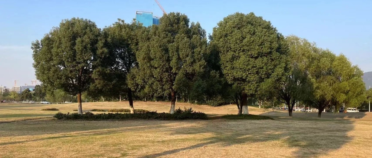 Featured image of post \u200b把工作变成喜欢做的事