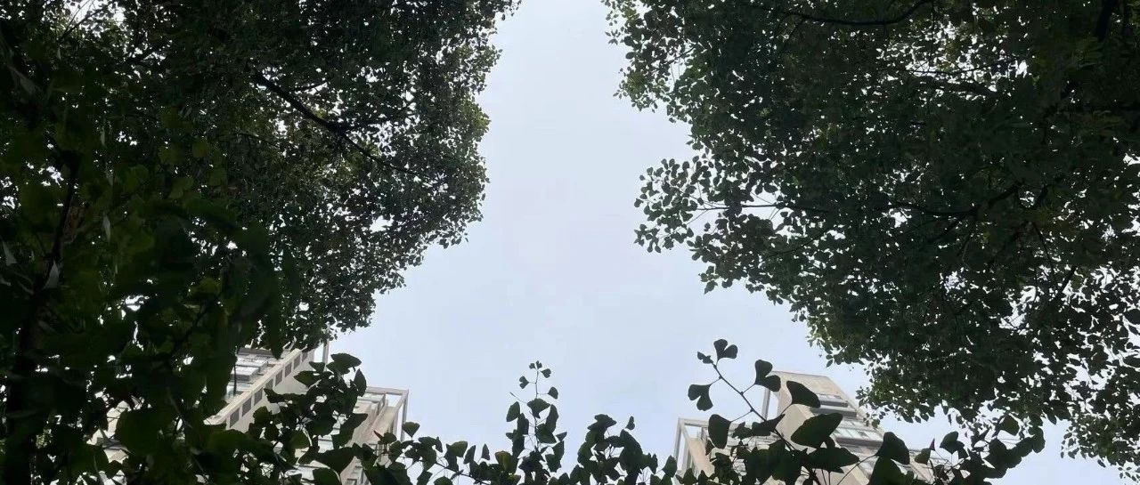 Featured image of post 地主家也没有余粮了