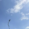尽早考虑职业切换