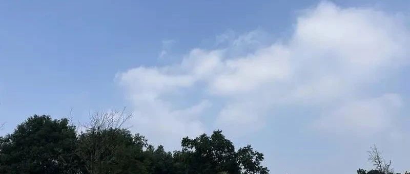 Featured image of post 简单聊聊这个双十一