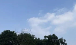 Featured image of post 简单聊聊这个双十一