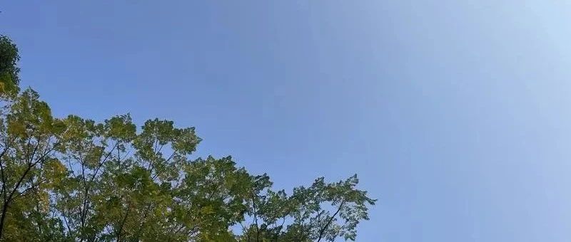Featured image of post 骑自行车的那点事