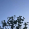 化繁为简，做减法