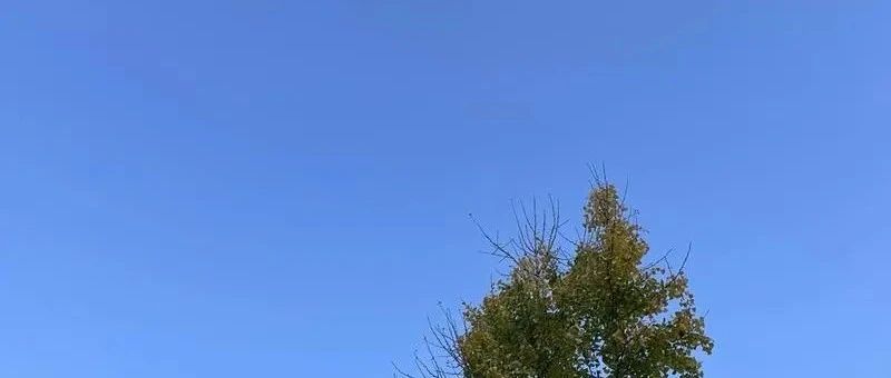 Featured image of post 奥特曼被罢免映射了OpenAI危机