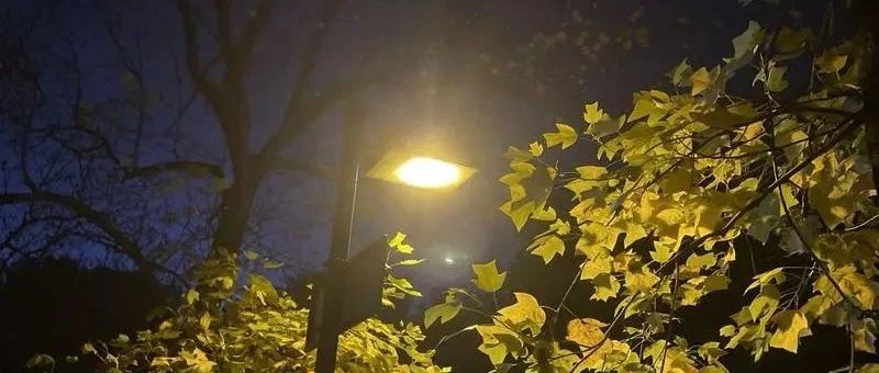 Featured image of post 说说董宇辉的“小作文”事件