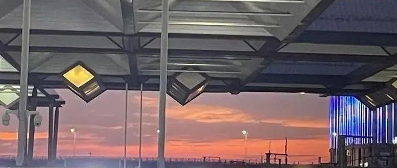 Featured image of post 现在开始写作还来得及吗？