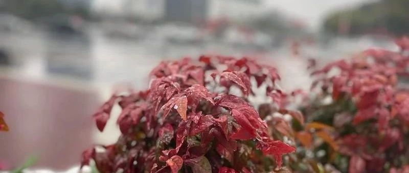 Featured image of post 刚入职场，更应该注重时间的复利效应