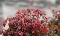 Featured image of post 刚入职场，更应该注重时间的复利效应