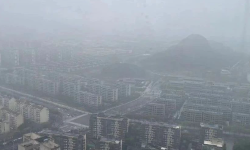 Featured image of post 公众号的流量逻辑虽然改变，但是公众号根本属性依然没变