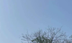 Featured image of post 构建人生系统从公开分享开始