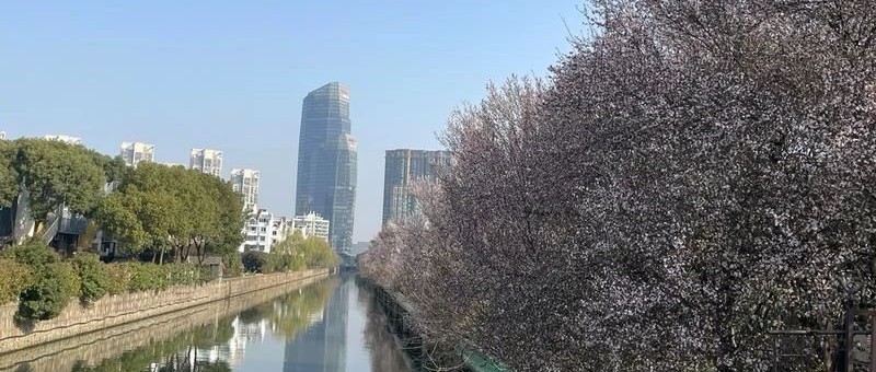 Featured image of post 做私域的，又悄悄回归微信