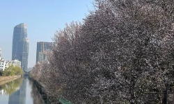Featured image of post 做私域的，又悄悄回归微信