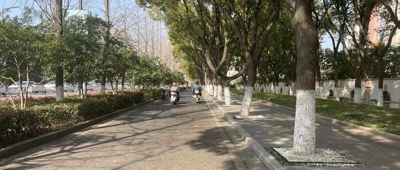 Featured image of post 持续优化工作系统