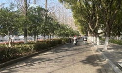 Featured image of post 持续优化工作系统