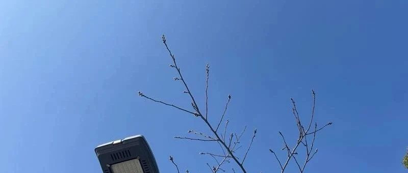 Featured image of post 成熟、可持续的公众号商业模式