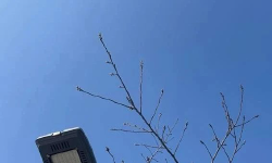 Featured image of post 成熟、可持续的公众号商业模式