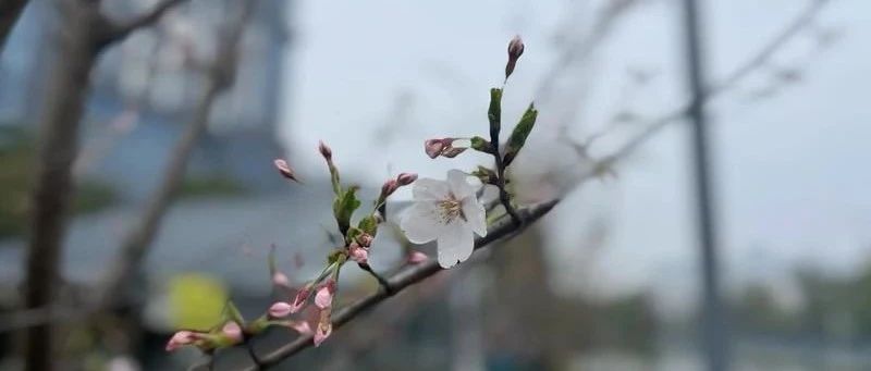 Featured image of post 身体预警