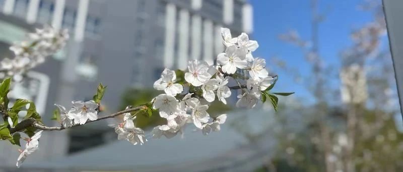 Featured image of post \u200b处理复杂问题靠的不是智商，而是方法