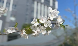 Featured image of post \u200b处理复杂问题靠的不是智商，而是方法