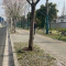 2024年3月文章一览