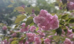 Featured image of post 人生系统，关于睡眠