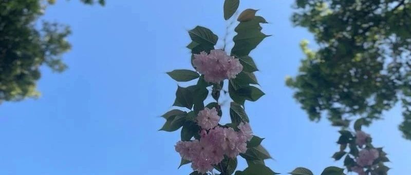 Featured image of post 人总是想走捷径，不愿意尊重常识
