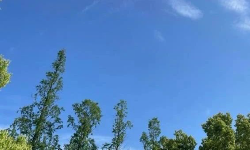 Featured image of post 终生职业落脚点，为什么是写作