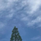 当你深入一个领域后