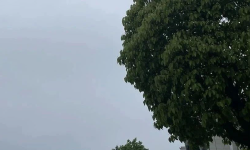 Featured image of post 房地产职场迎来转机了吗？