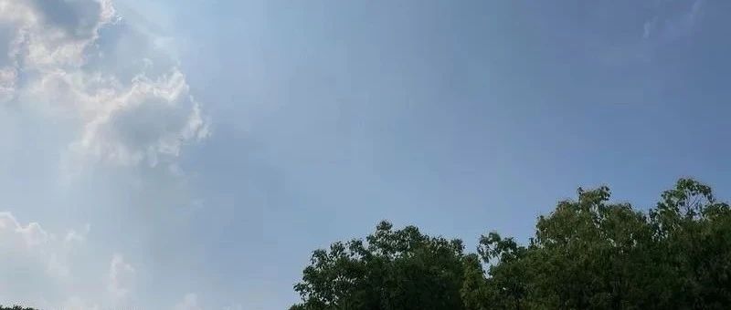 Featured image of post 免费的才是最贵的