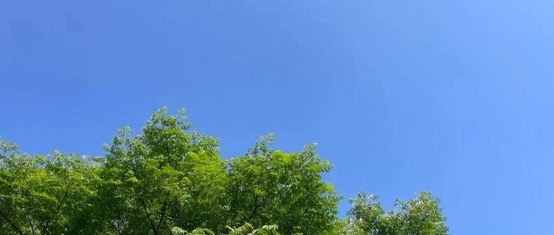 Featured image of post 6点钟起床就能解决所有问题？