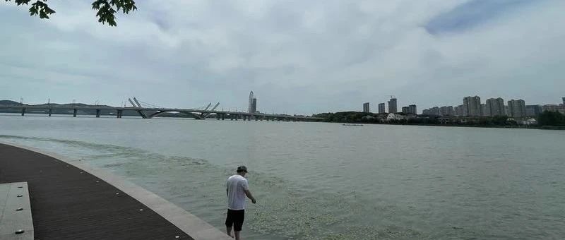 Featured image of post 中年人的基本素养，杜绝说教，避免变成老师
